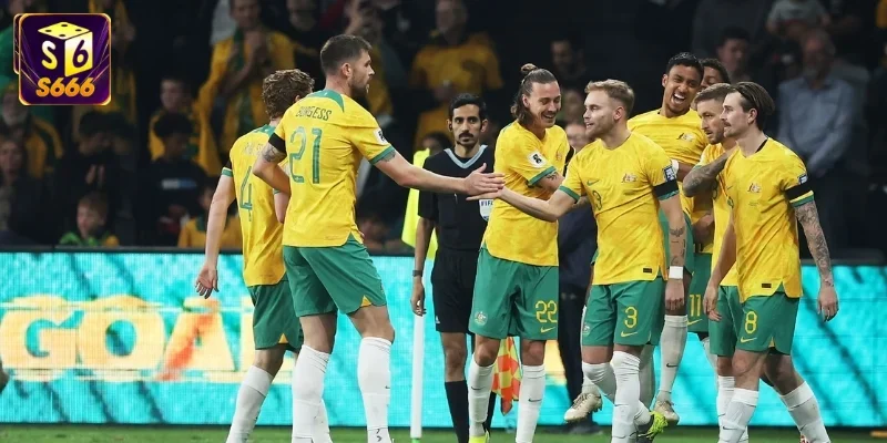 Đội hình Australia Worldcup 2026: Sức mạnh từ "Chuột túi"