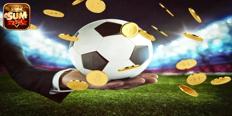 Cách lấy lại tài khoản Sumclub - tổng quan 2026