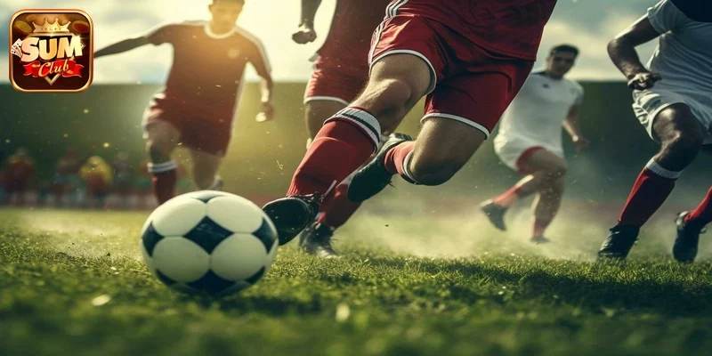 Người mới nên chơi gì tại Sumclub - tổng quan 2026